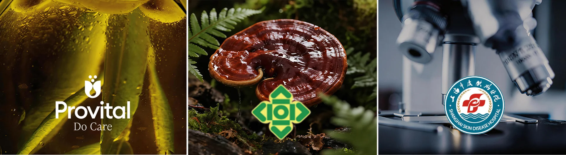 天然植物研发共建